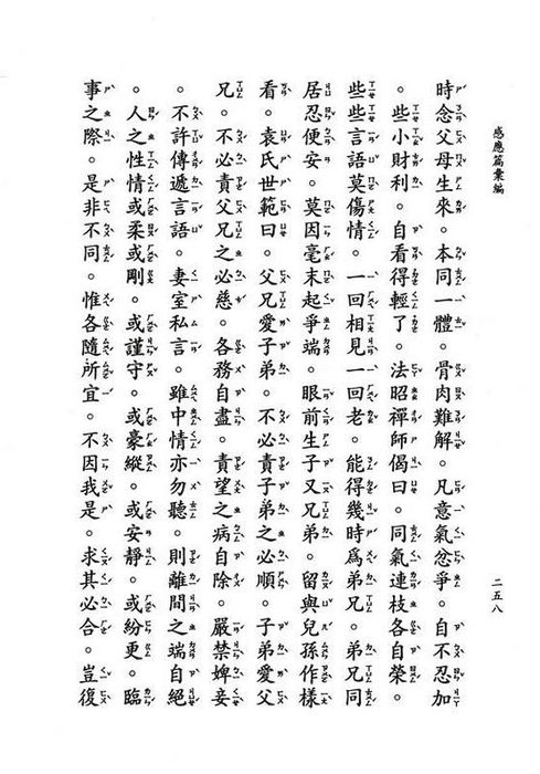 neo_img_s (3) neo_img_s (3)