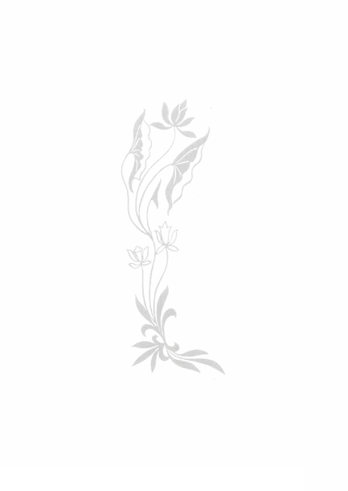 佛教各宗大意(2013年新版) 佛教各宗大意(2013年新版)