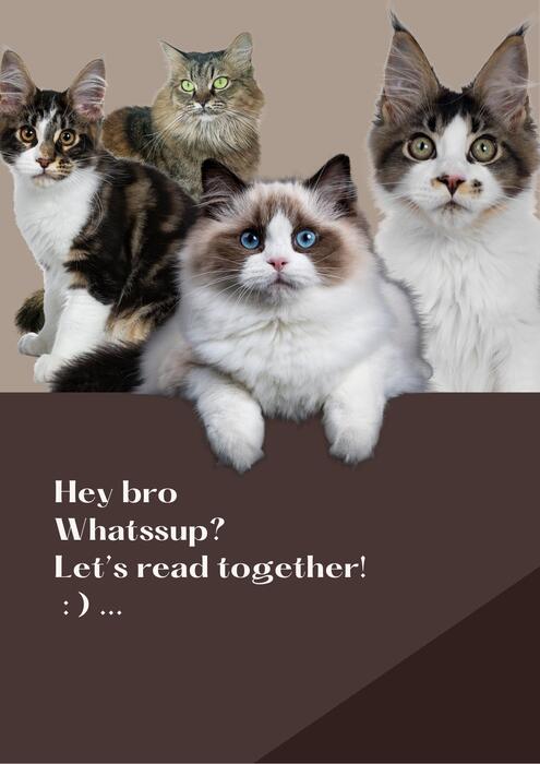 2025shtcs voice-a組