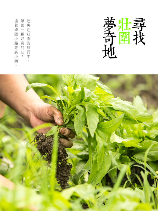 尋找壯圍夢奇地