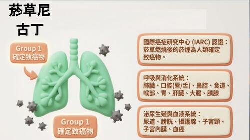 第一組期末報告衛教電子書.pptx