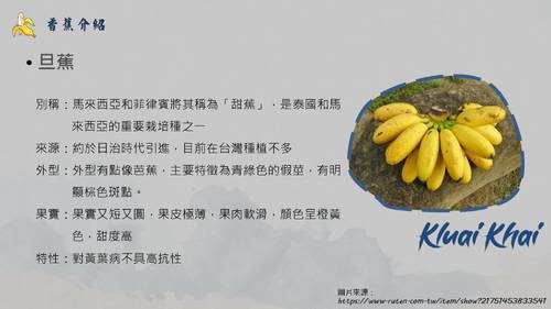 旗山 定案