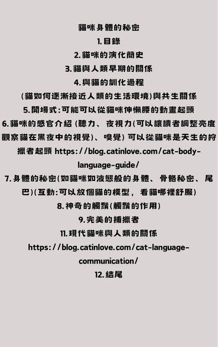 brown and yellow playful illustrative cat book cover