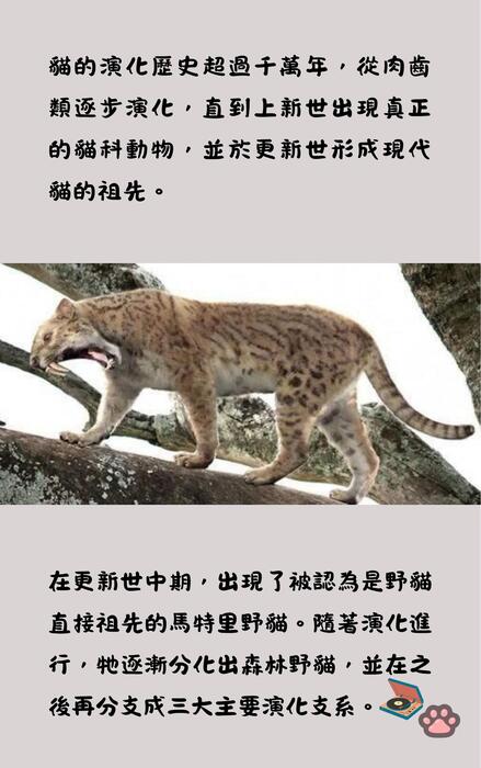 brown and yellow playful illustrative cat book cover