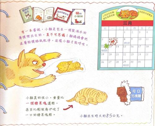 小胡椒日記
