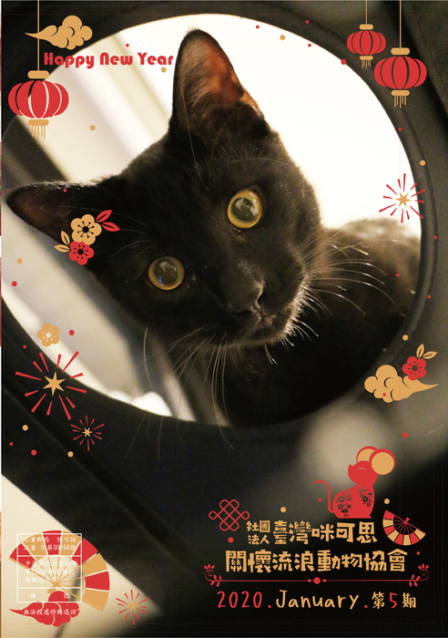 no5 封面