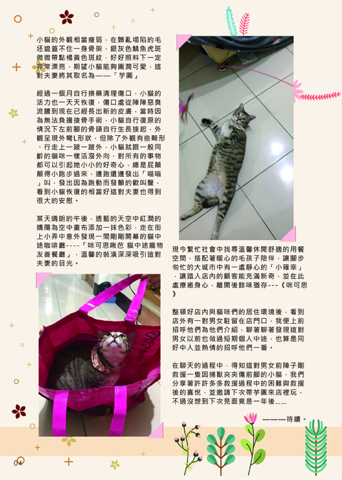 咪可思流浪動物協會會訊第五期-06 咪可思流浪動物協會會訊第五期-06