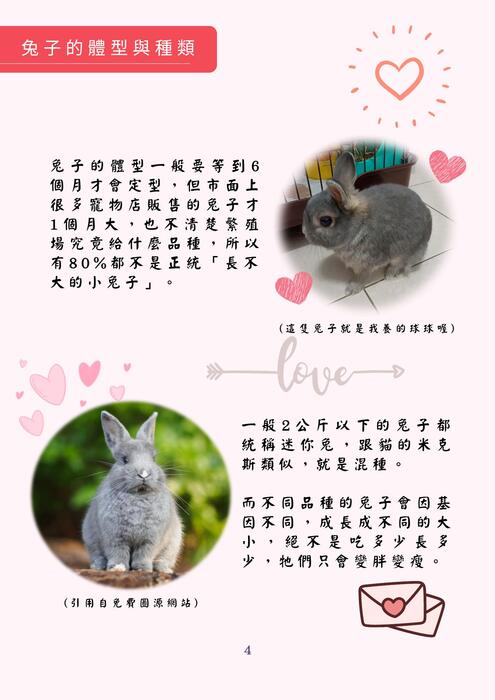 兔子的小小世界 兔子的小小世界