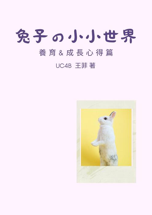 兔子的小小世界 兔子的小小世界