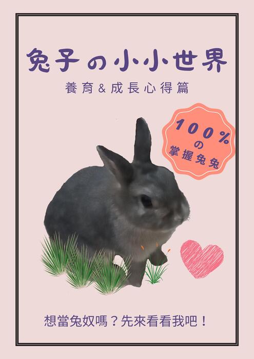 兔子的小小世界 兔子的小小世界