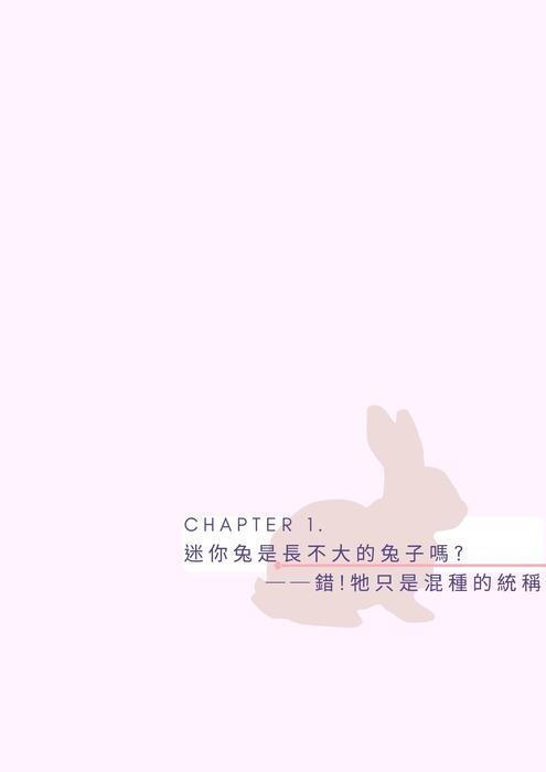 兔子的小小世界 兔子的小小世界