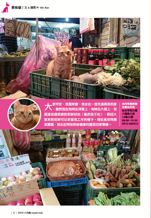 八月號4