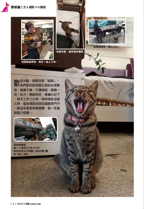 2016.2月4 2016.2月4