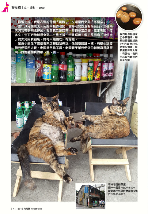 6月號4 6月號4