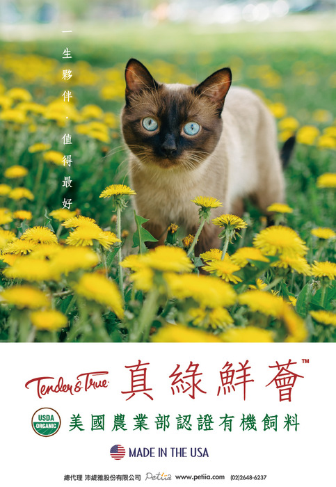 2017.2月2
