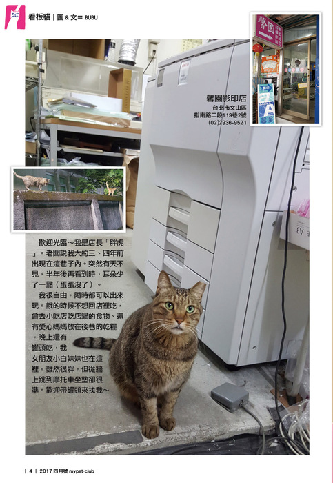 2017.4月4