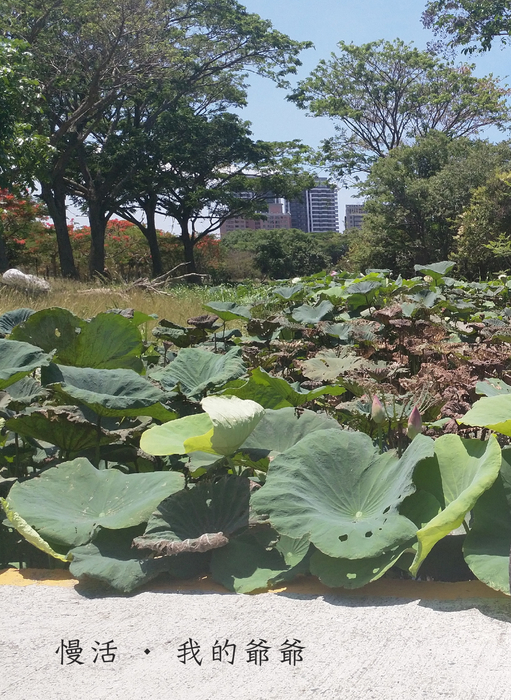 上架用