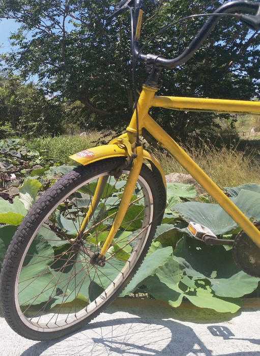上架用