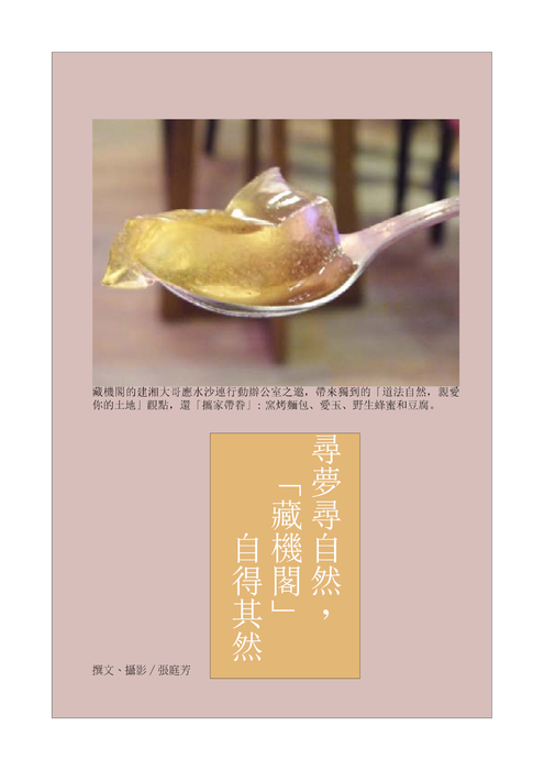 藏機閣側寫 庭芳