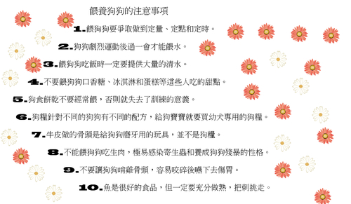 愛狗
