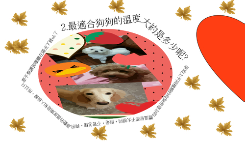 愛狗