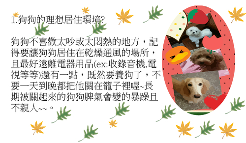 愛狗
