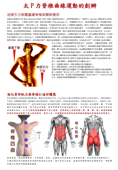 組合 1