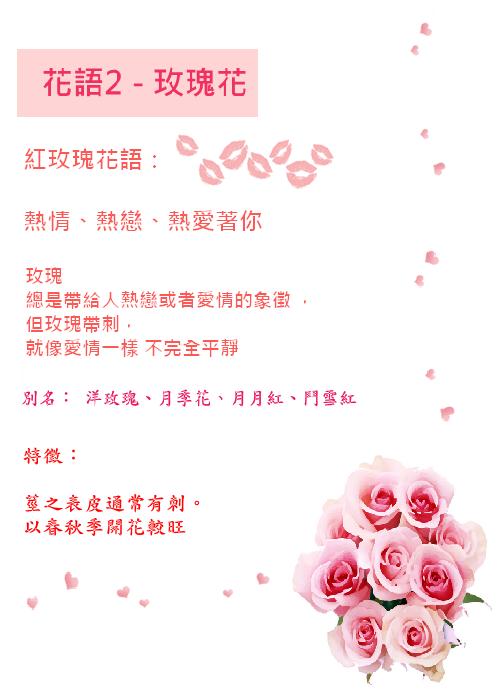 玫瑰花