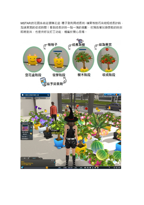 花園系統