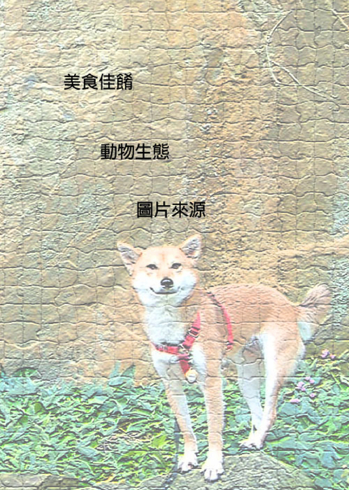 目錄2