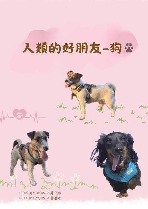 人類的好朋友-狗