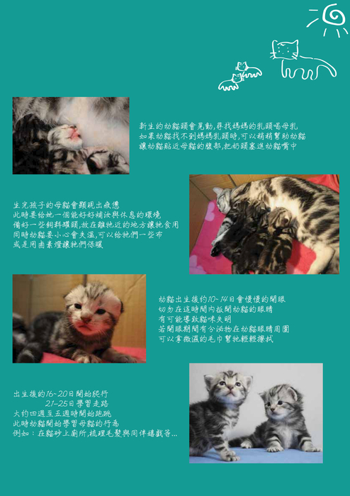 期末電子書3