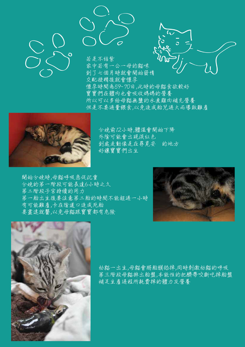 期末電子書3