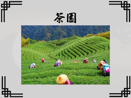 茶藝