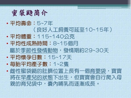004_88fa45fa-99bd-45aa-94bb-bb5a21de1b59