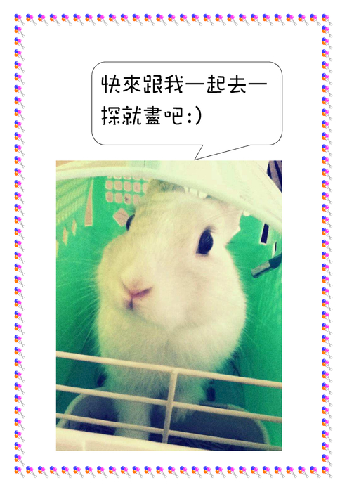 (_u_____isweet)